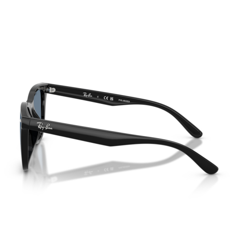 Ray-Ban RB 4420 601/2V 65 Unisex Güneş Gözlüğü