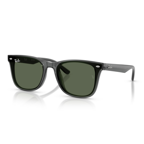 Ray-Ban RB 4420 691971 65 Unisex Güneş Gözlüğü