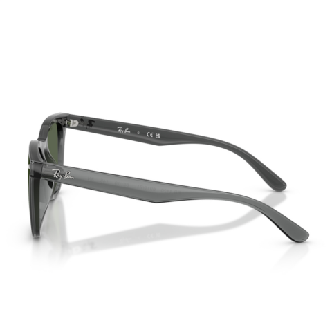 Ray-Ban RB 4420 691971 65 Unisex Güneş Gözlüğü