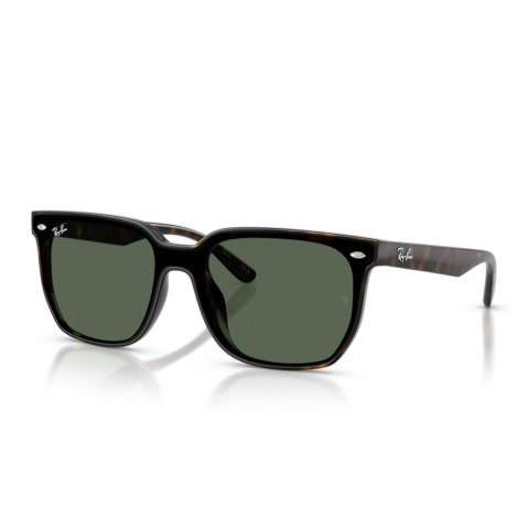 Ray-Ban RB 4466D 710/71 47 Unisex Güneş Gözlüğü