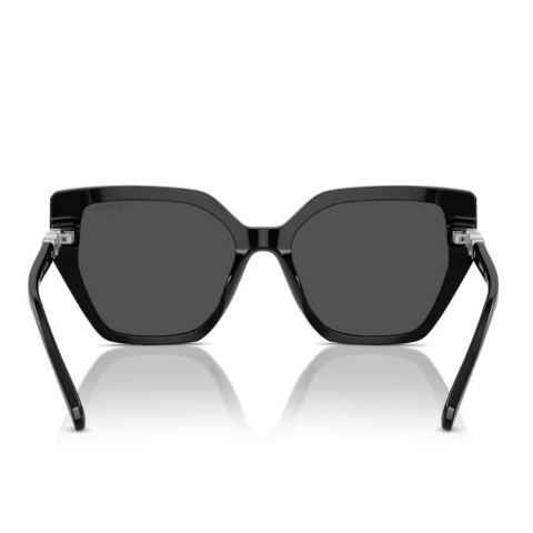 Swarovski SK 6016 100187 56 Kadın Güneş Gözlüğü