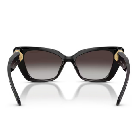 Swarovski SK 6047 10018G 54 Kadın Güneş Gözlüğü