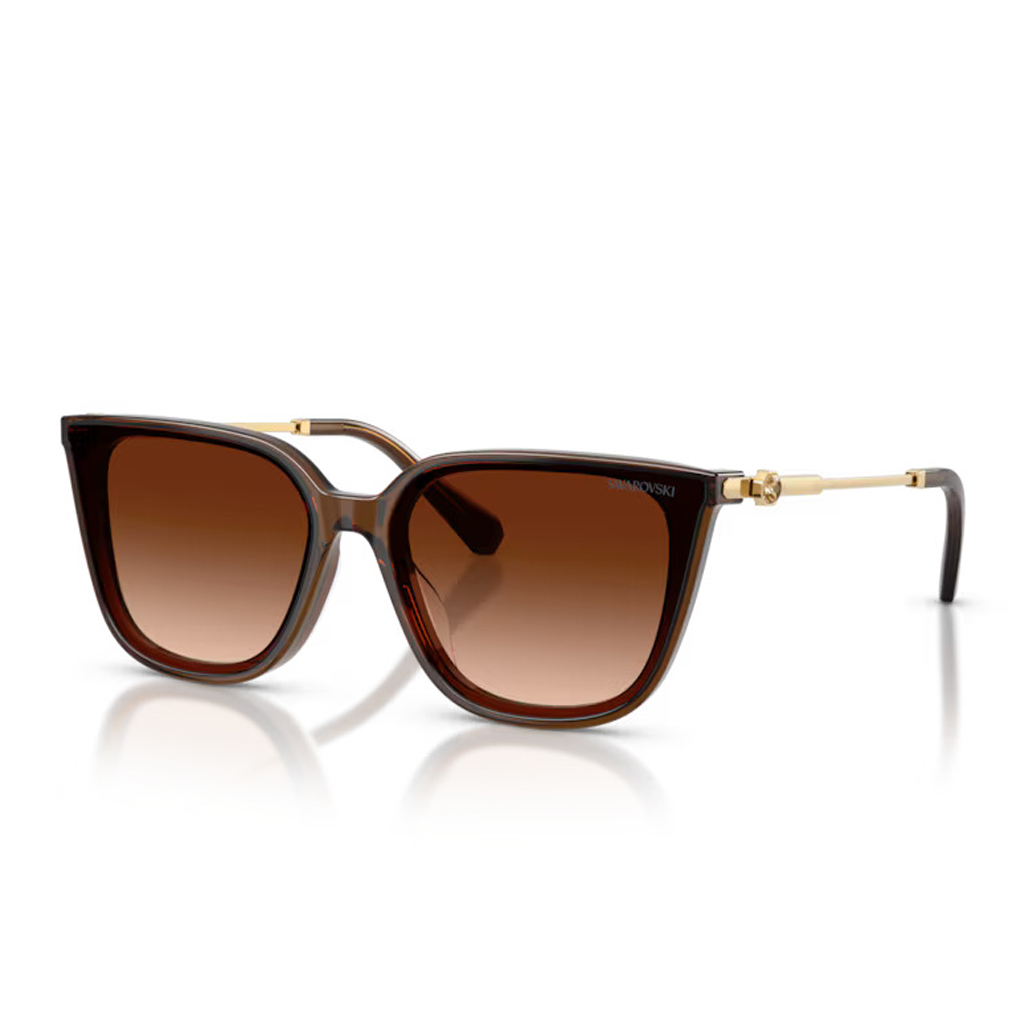 Swarovski SK 6054D 108474 63 Kadın Güneş Gözlüğü